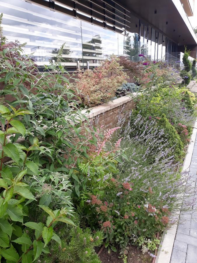 Sweet Garden Residence Brasov Exterior photo
